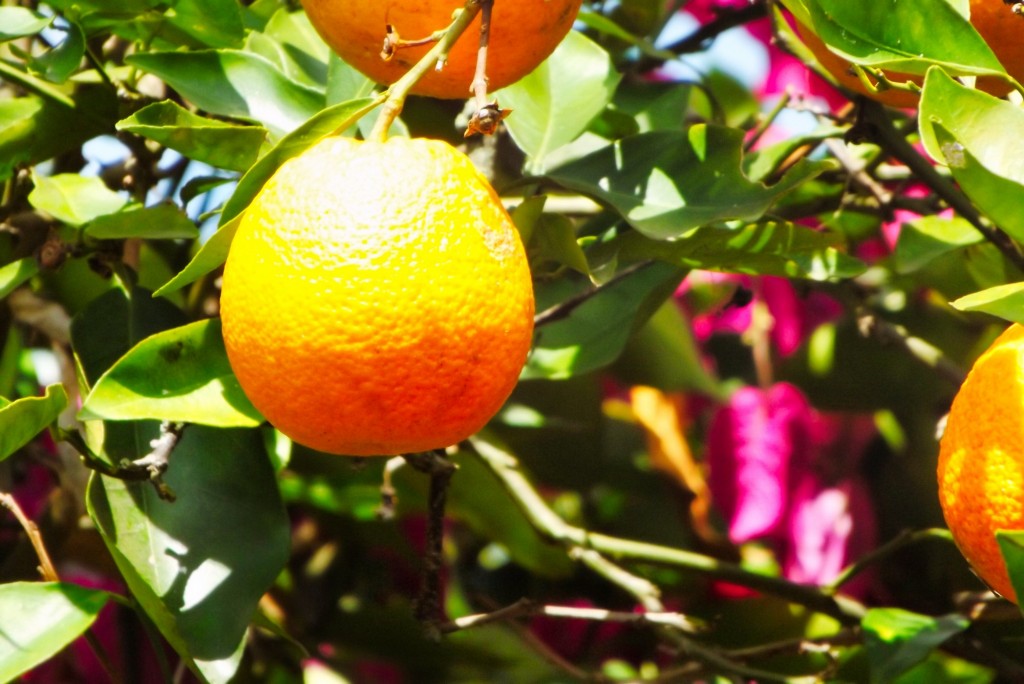 Foto de Santander, Colombia