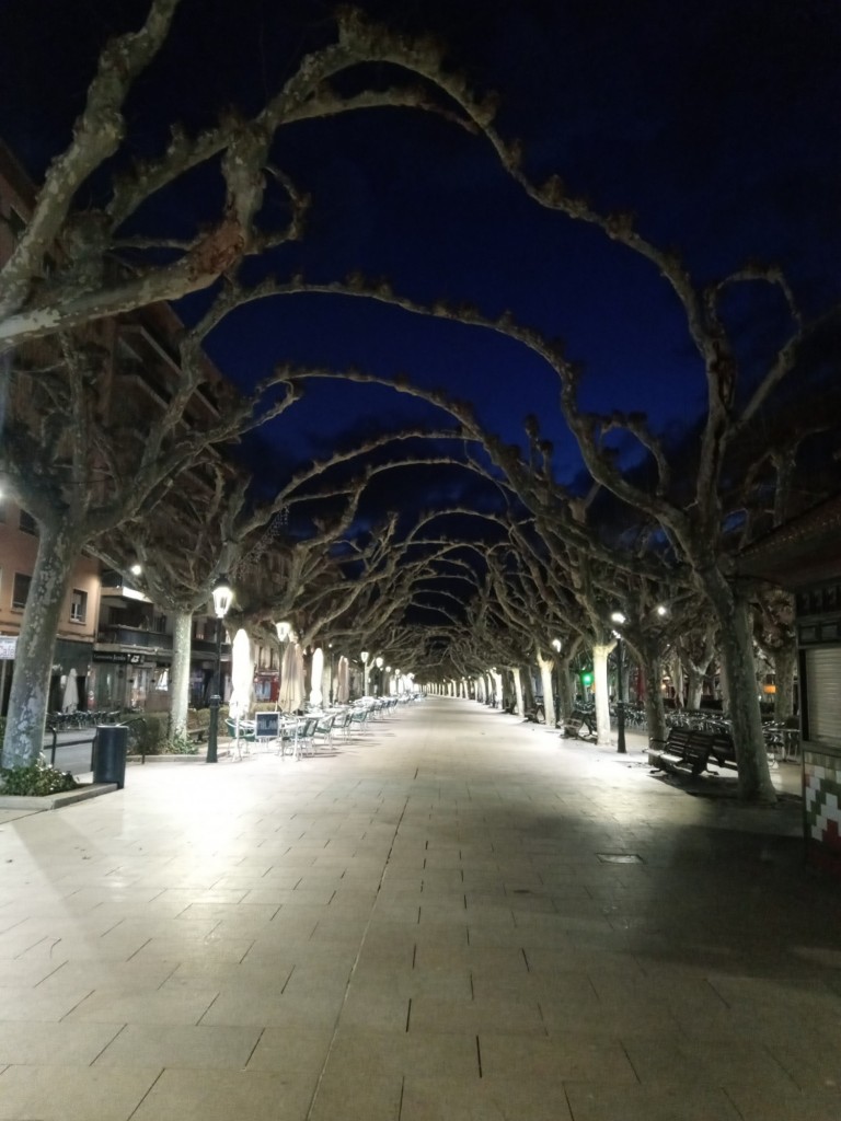 Foto: Paseo Cortes de Aragón - Calatayud (Zaragoza), España