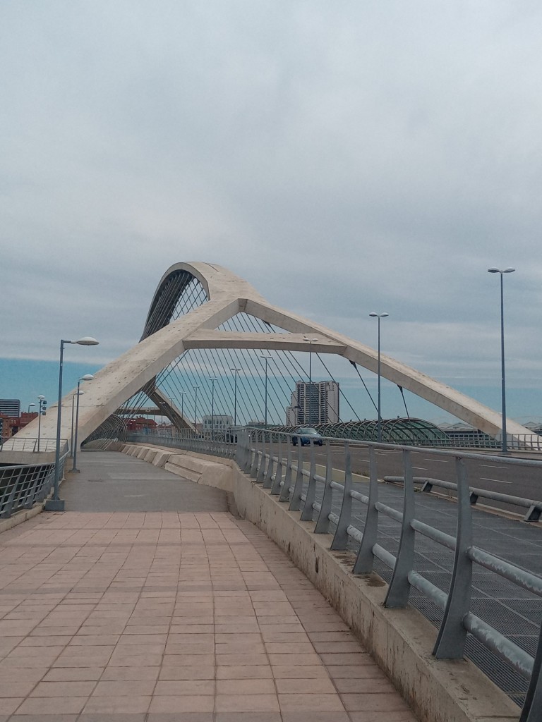 Foto: Puente del tercer milenio - Zaragoza (Aragón), España