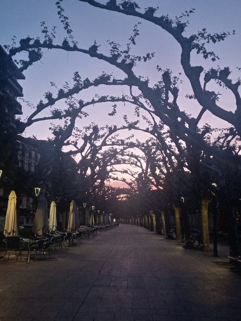 Foto: Amanecer en el Paseo Cortes de Aragón - Calatayud (Zaragoza), España