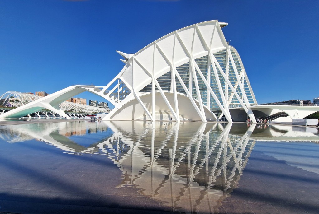 Foto: Museo Principe Felipe - Valencia (València), España
