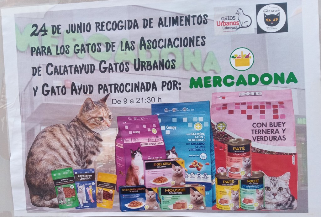 Foto de Calatayud (Zaragoza), España