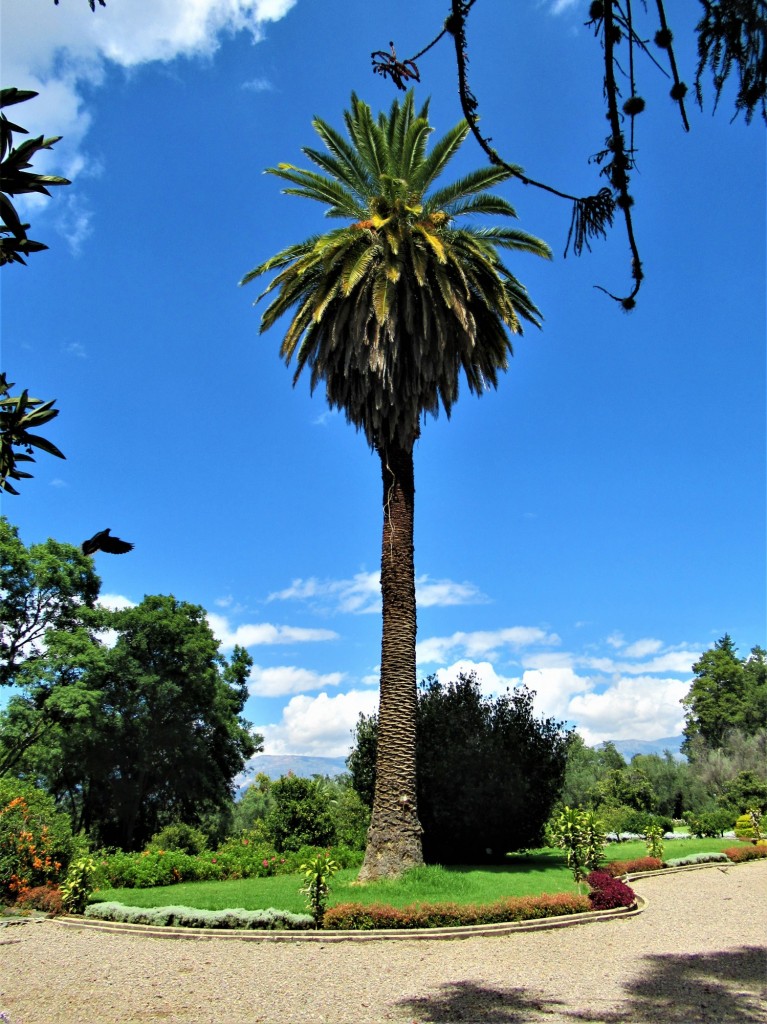 Foto: Casa Museo Villa Albina - Vinto (Cochabamba), Bolivia