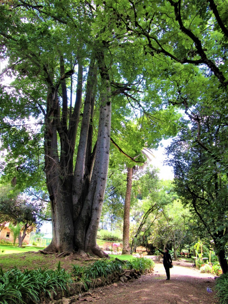 Foto: Casa Museo Villa Albina - Vinto (Cochabamba), Bolivia
