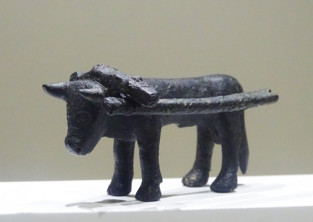 Foto: Museo Beneficencia - Valencia (València), España