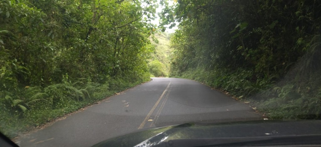 Foto: Ruta Nacional 126 - Cinchona (Heredia), Costa Rica