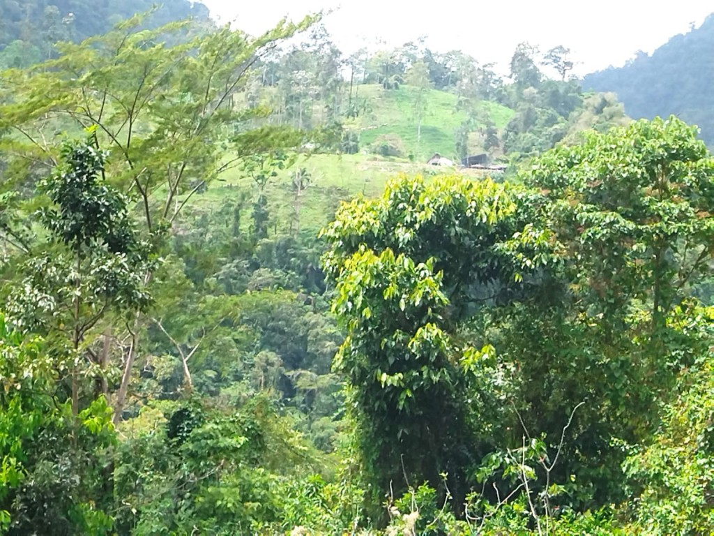 Foto de Ruta Nacional Treciaria 415 (Cartago), Costa Rica