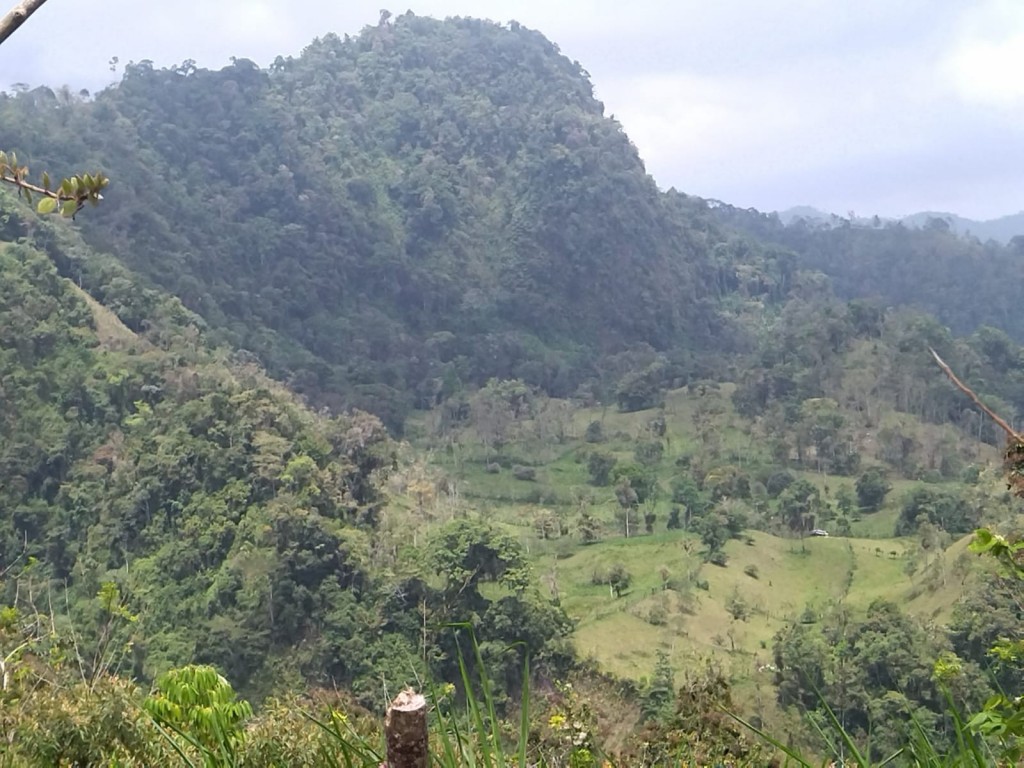 Foto de Ruta Nacional Treciaria 415 (Cartago), Costa Rica