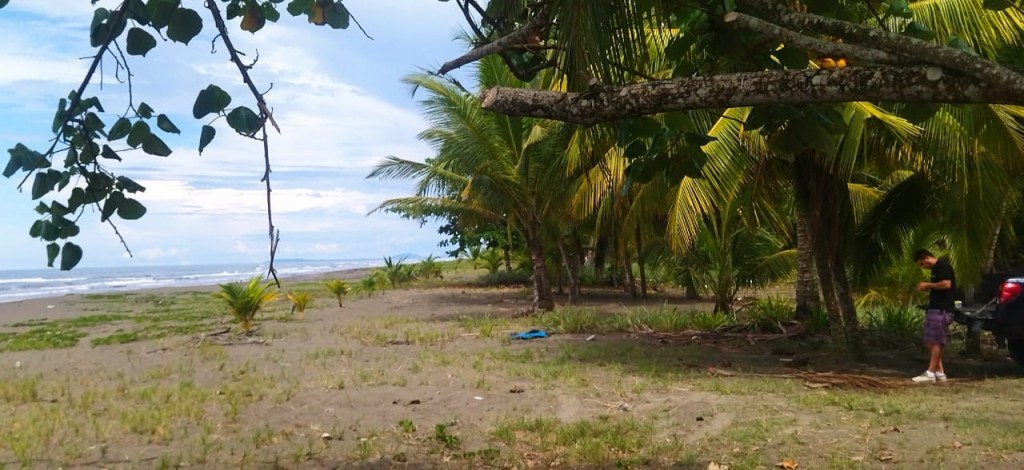 Foto de San Clemente (Limón), Costa Rica