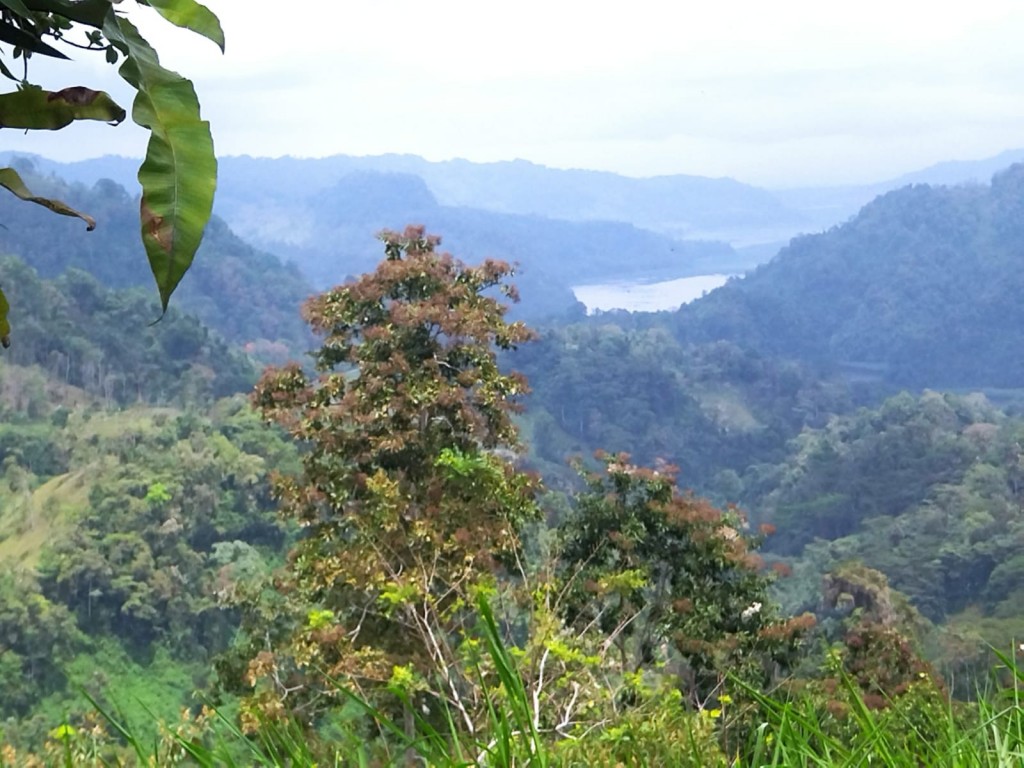 Foto de Ruta Nacional Treciaria 415 (Cartago), Costa Rica
