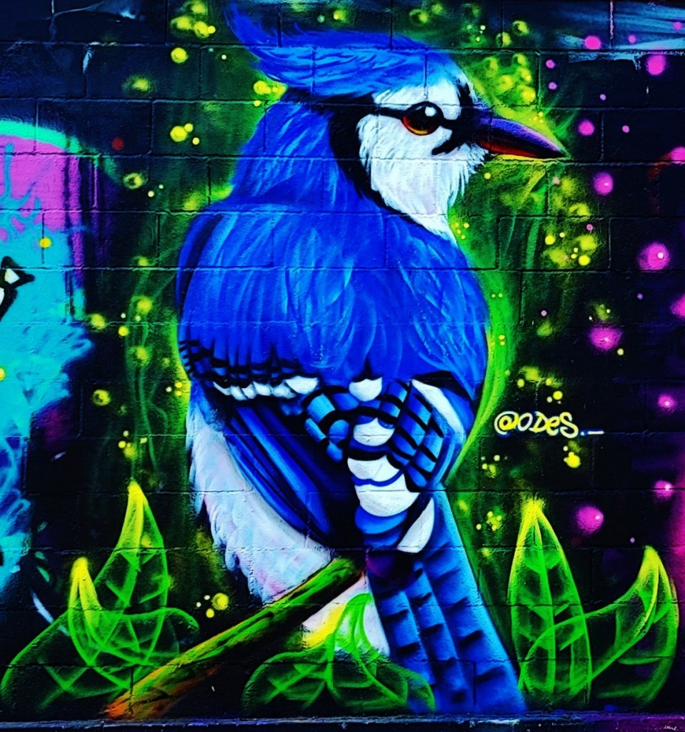 Foto: Grafitti Urbano - Barcelona (Cataluña), España