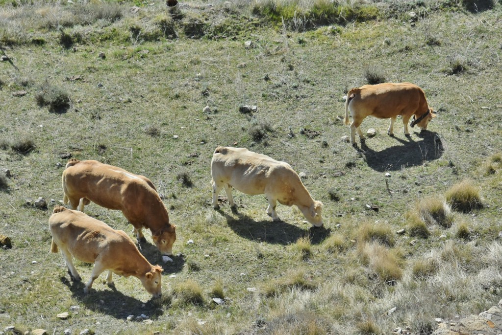 Foto: Vistas - Cantavieja (Teruel), España