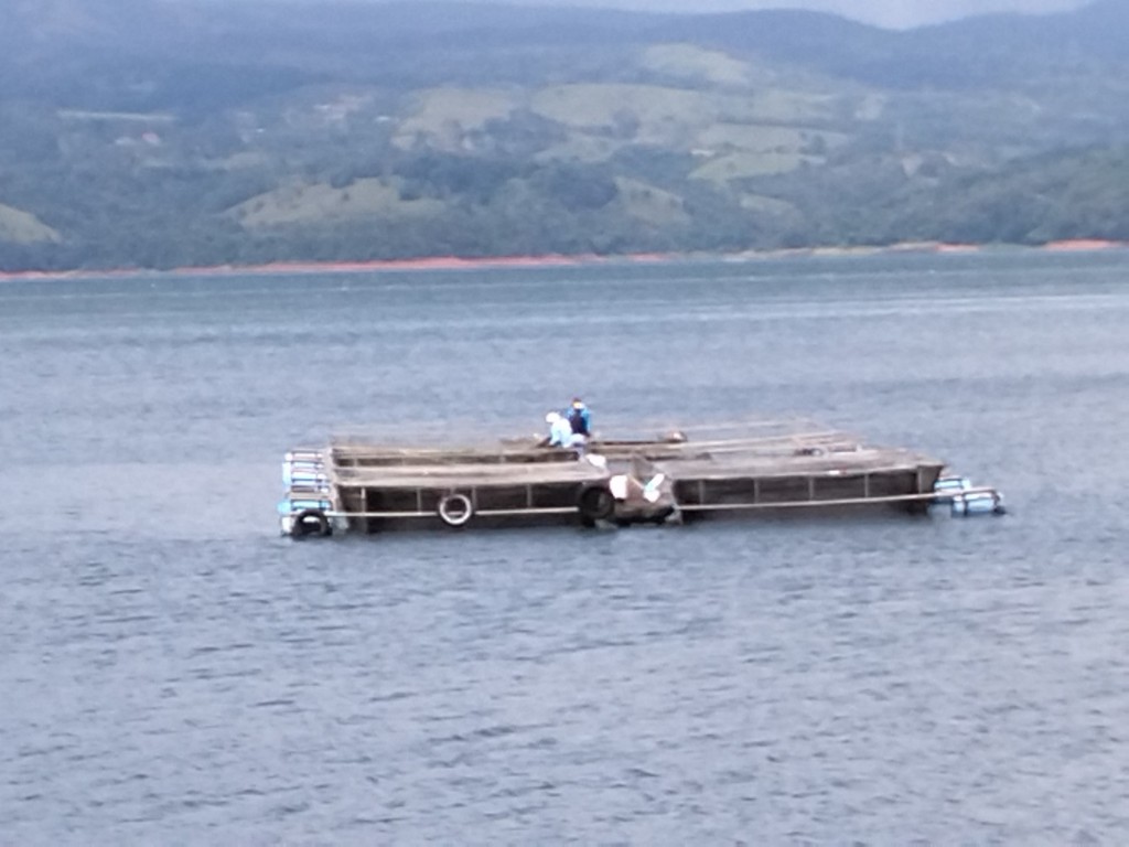 Foto: Lago arenal - Tilaran (Alajuela), Costa Rica