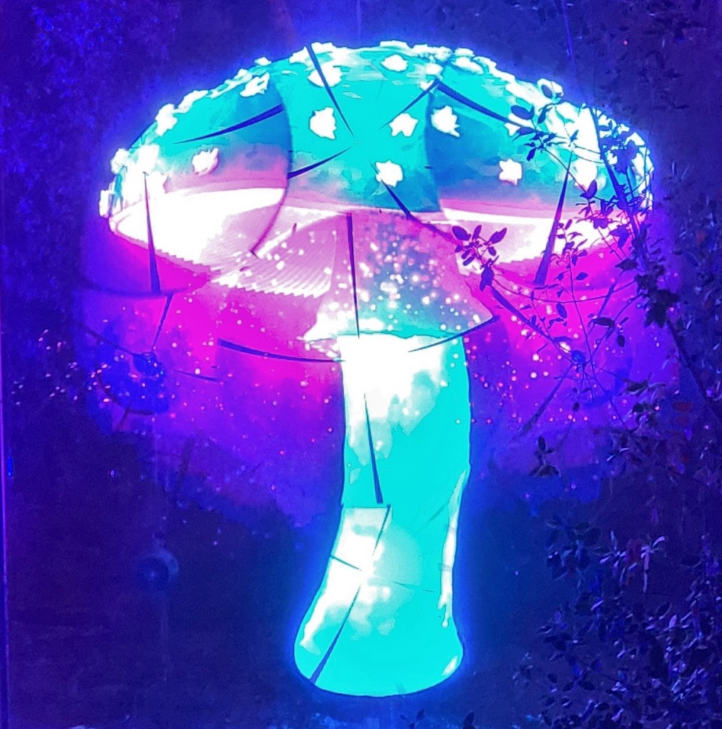 Foto: Luces en los jardines de Torre Girona - Barcelona (Cataluña), España