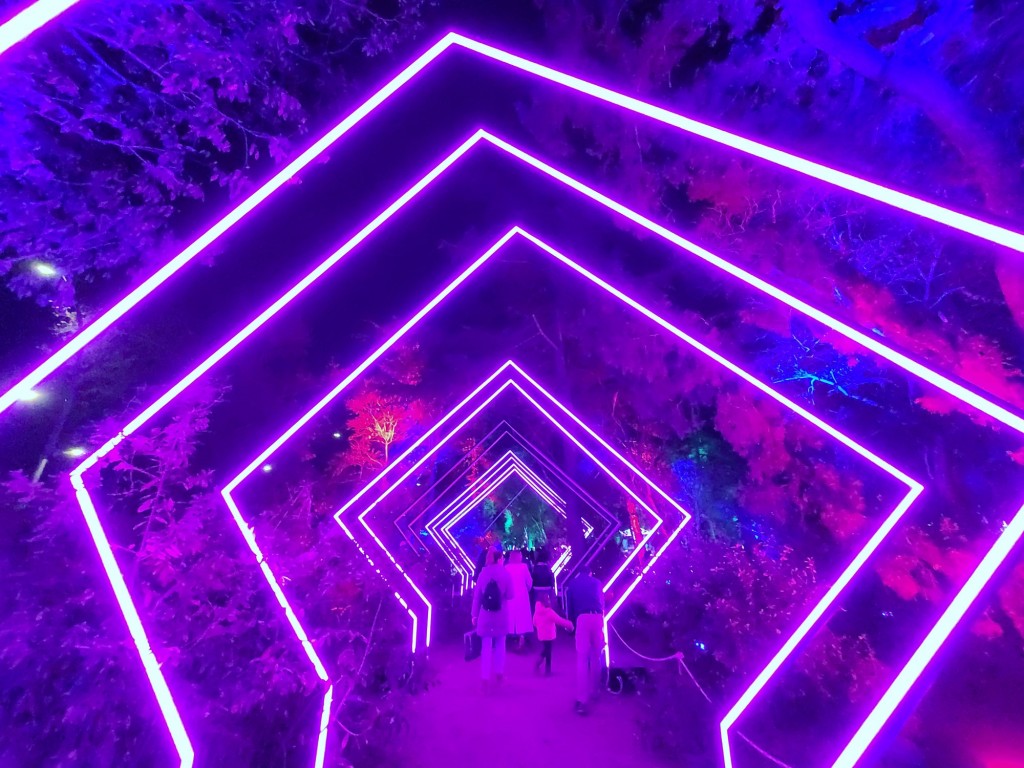 Foto: Luces en los jardines de Torre Girona - Barcelona (Cataluña), España