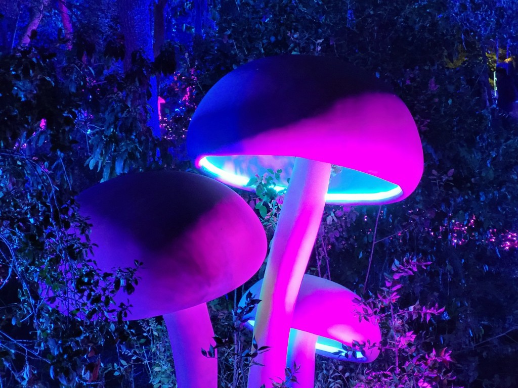 Foto: Luces en los jardines de Torre Girona - Barcelona (Cataluña), España