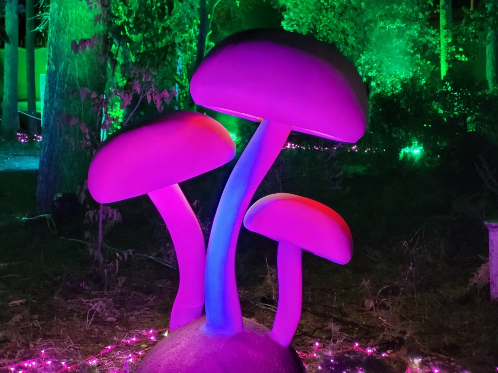 Foto: Luces en los jardines de Torre Girona - Barcelona (Cataluña), España