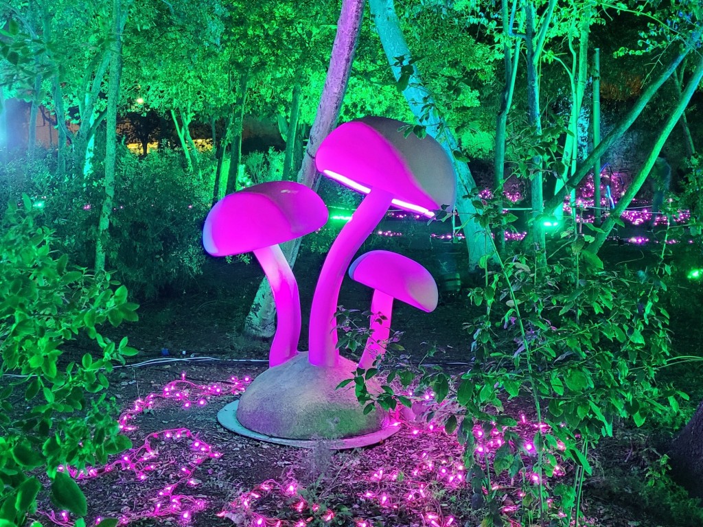 Foto: Luces en los jardines de Torre Girona - Barcelona (Cataluña), España