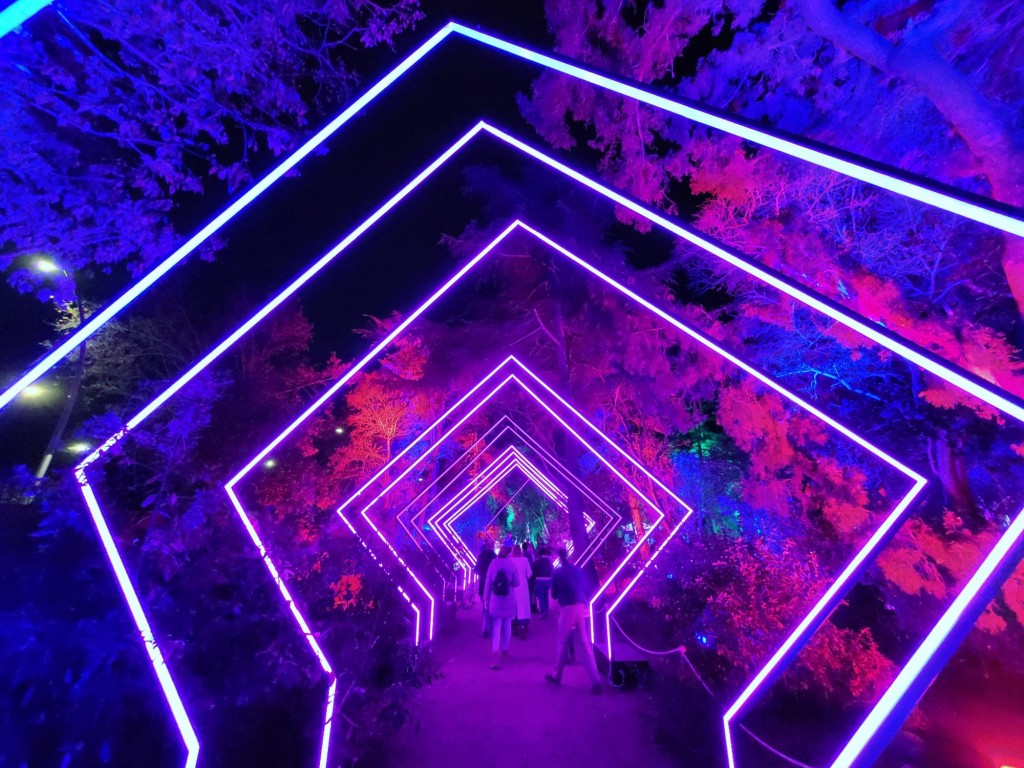 Foto: Luces en los jardines de Torre Girona - Barcelona (Cataluña), España