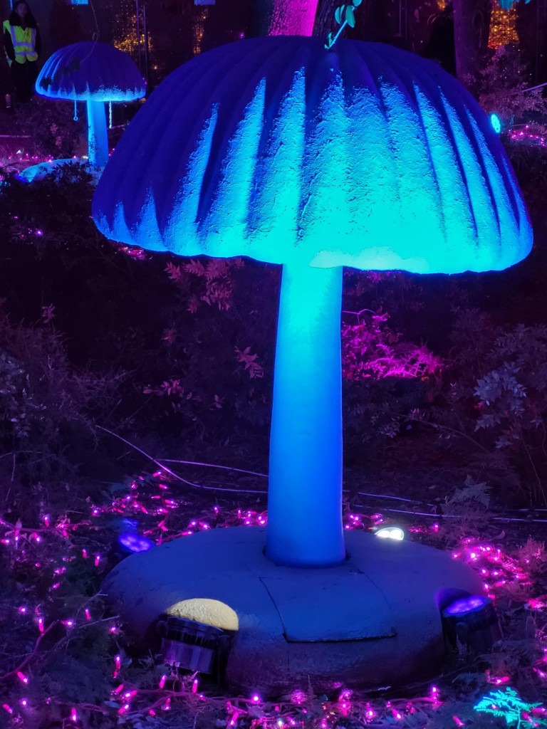 Foto: Luces en los jardines de Torre Girona - Barcelona (Cataluña), España