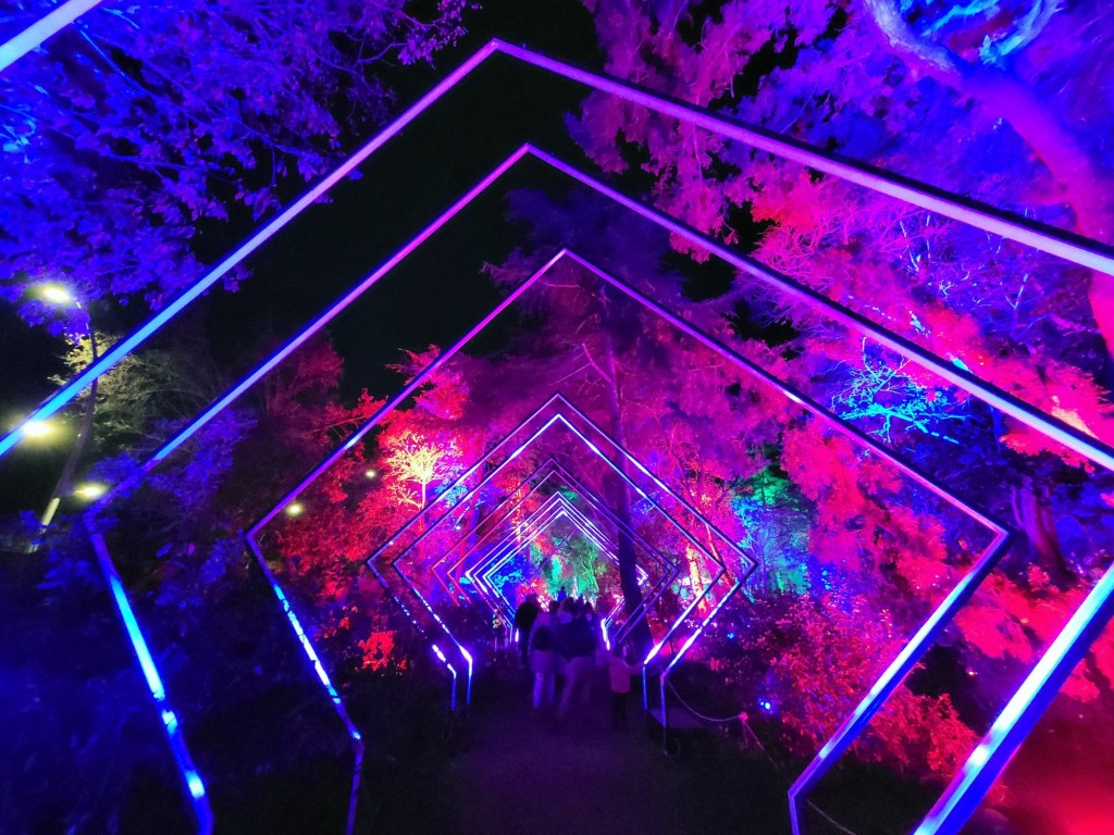 Foto: Luces en los jardines de Torre Girona - Barcelona (Cataluña), España