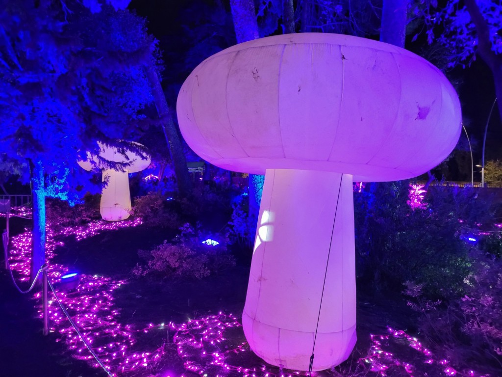 Foto: Luces en los jardines de Torre Girona - Barcelona (Cataluña), España