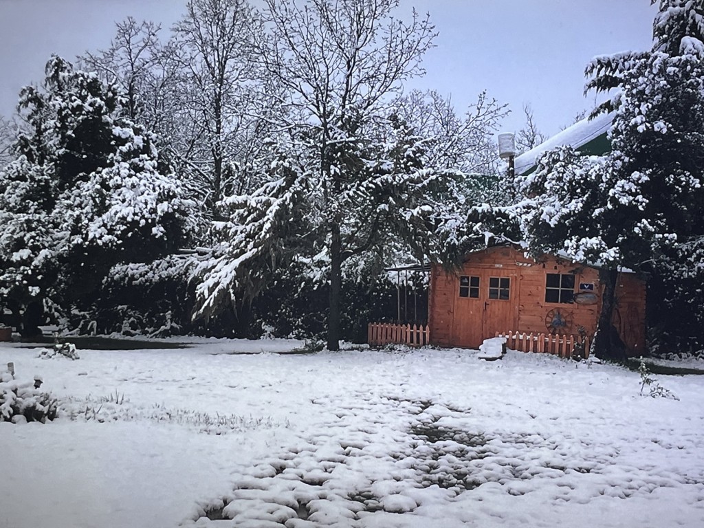Foto: bajo la nieve - Fresno de Cantespino (Segovia), España