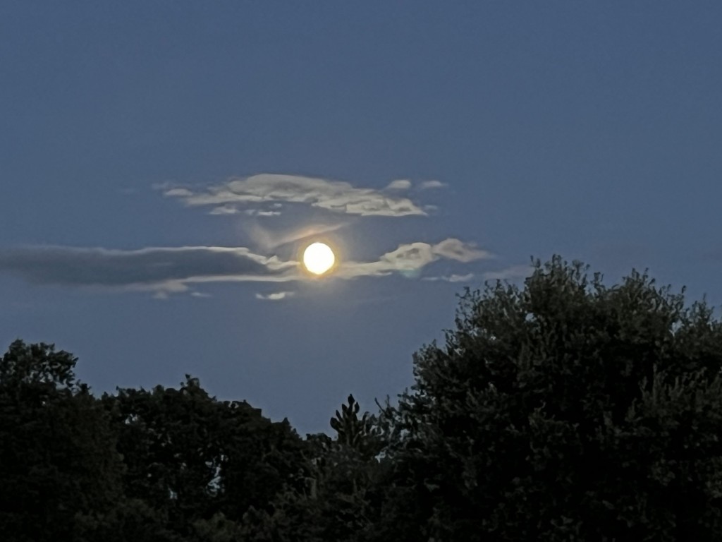 Foto: luna llena - Fresno de Cantespino (Segovia), España