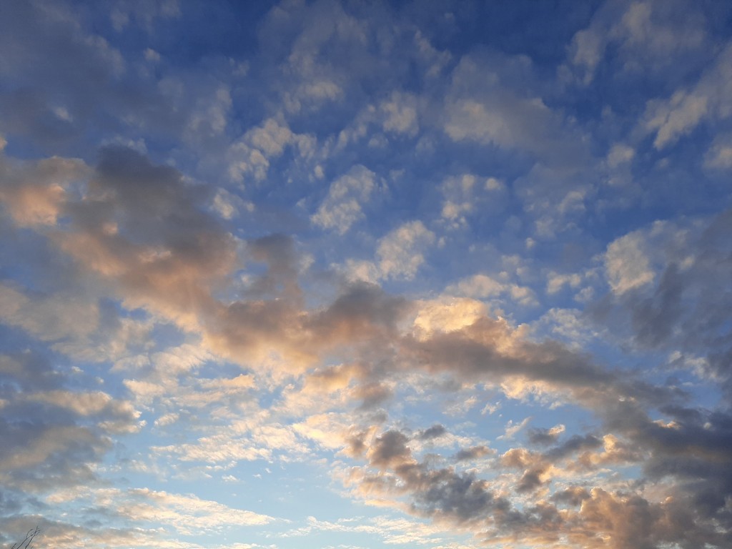 Foto: Amanecer - Sant Adrià de Besòs (Barcelona), España
