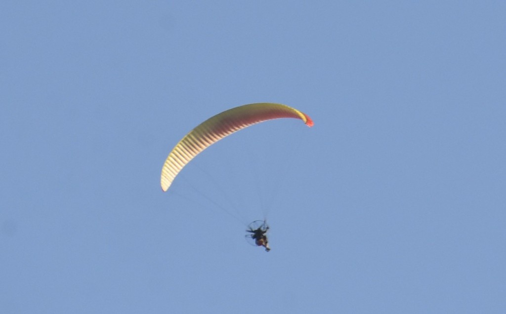 Foto: Concurso de globos 2023 - Igualada (Barcelona), España