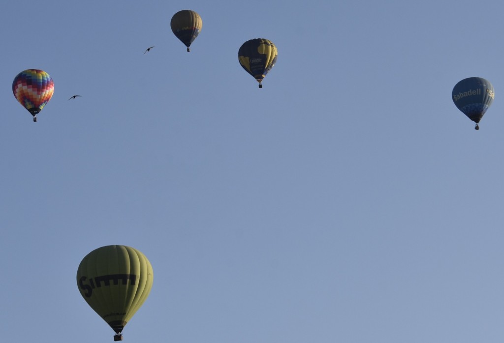 Foto: Concurso de globos 2023 - Igualada (Barcelona), España
