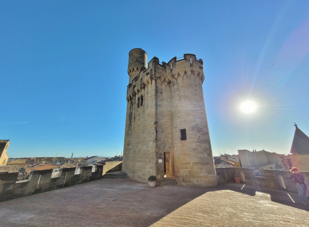 Foto: Palacio Real - Olite (Navarra), España