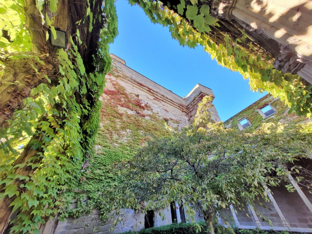 Foto: Palacio Real - Olite (Navarra), España