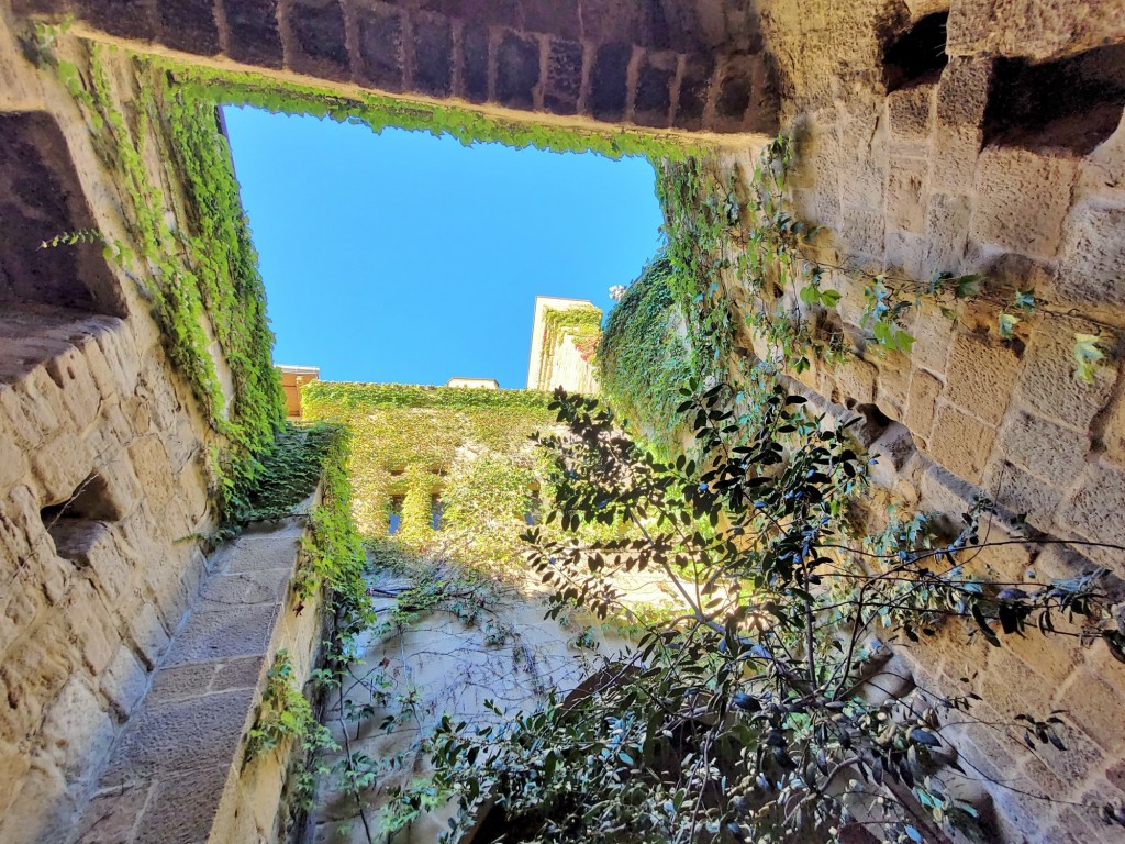 Foto: Palacio Real - Olite (Navarra), España