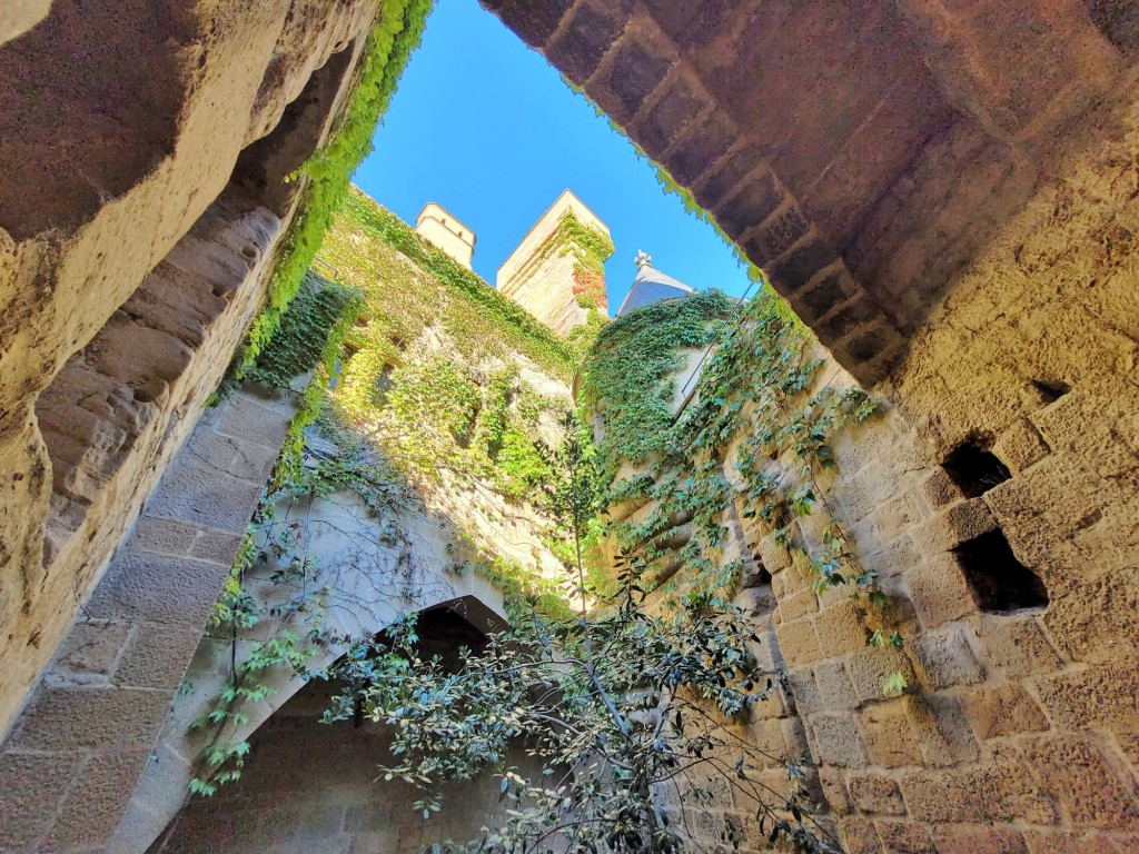 Foto: Palacio Real - Olite (Navarra), España