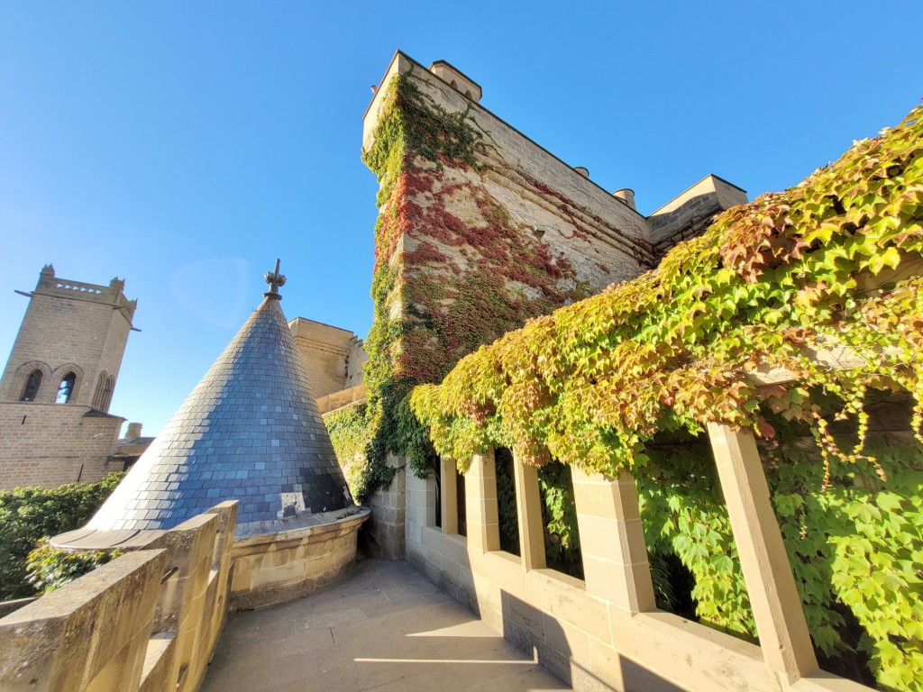 Foto: Palacio Real - Olite (Navarra), España
