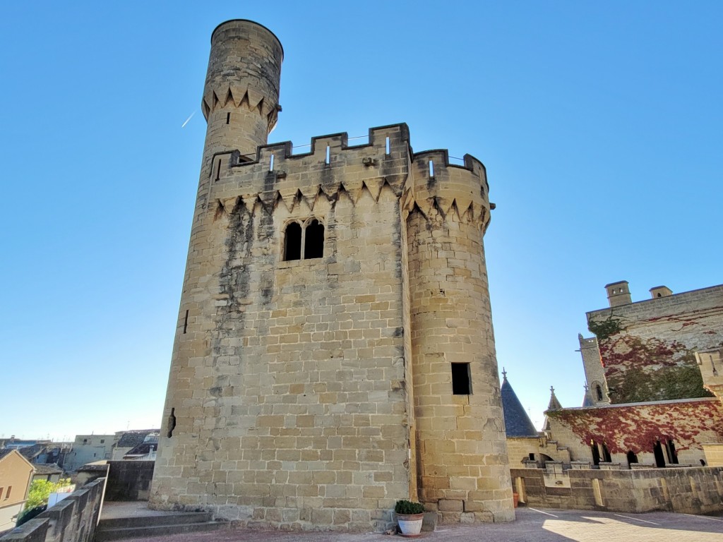 Foto: Palacio Real - Olite (Navarra), España