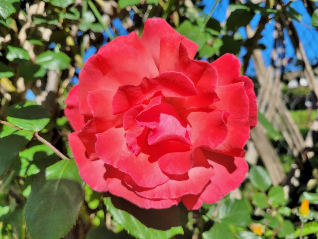 Foto: Parque Cervantes - Barcelona (Cataluña), España