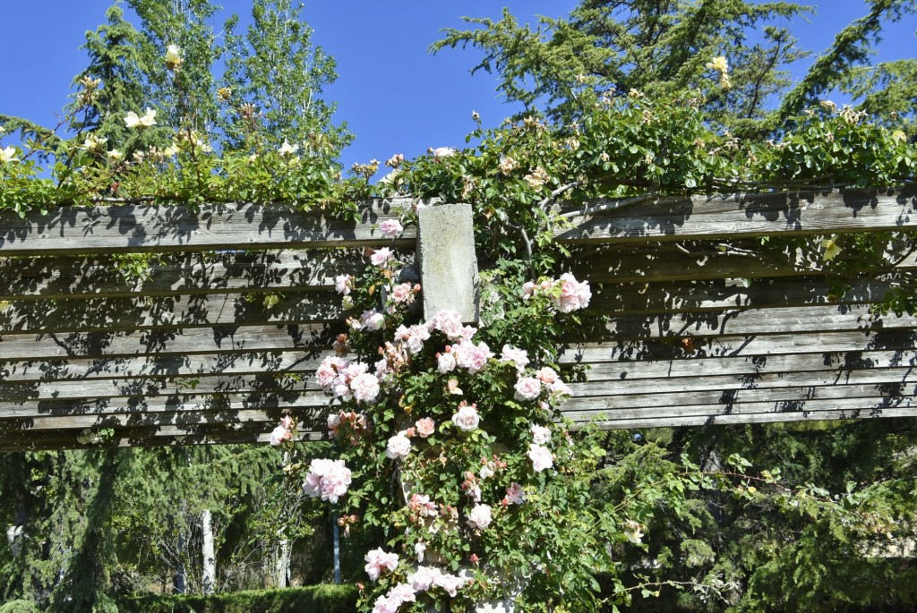 Foto: Parque Cervantes - Barcelona (Cataluña), España