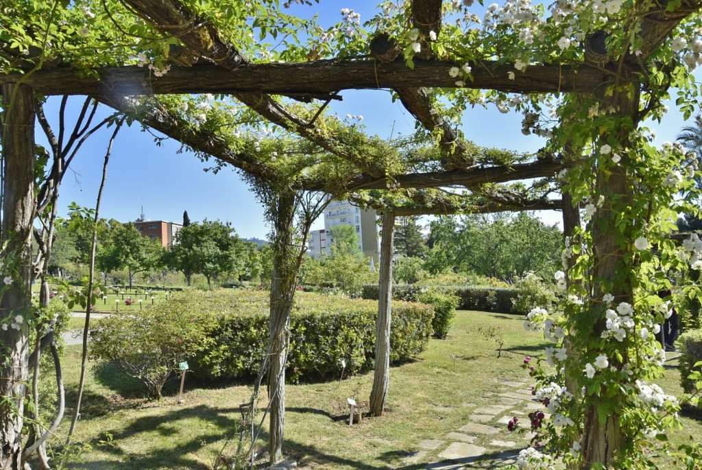 Foto: Parque Cervantes - Barcelona (Cataluña), España