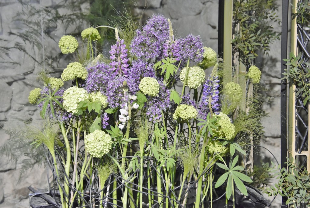 Foto: Girona en Flors 2024 - Girona (Cataluña), España