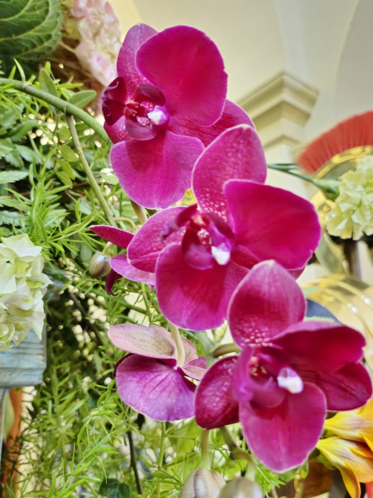 Foto: Girona en Flors 2024 - Girona (Cataluña), España