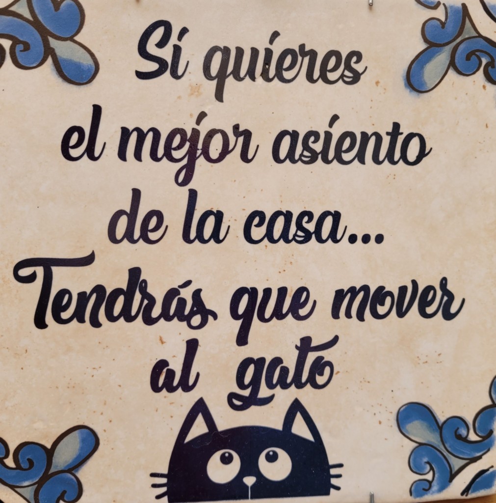 Foto: Pues eso!! - Cuenca (Castilla La Mancha), España