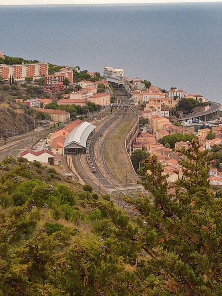 Foto de Cerbere (Languedoc-Roussillon), Francia