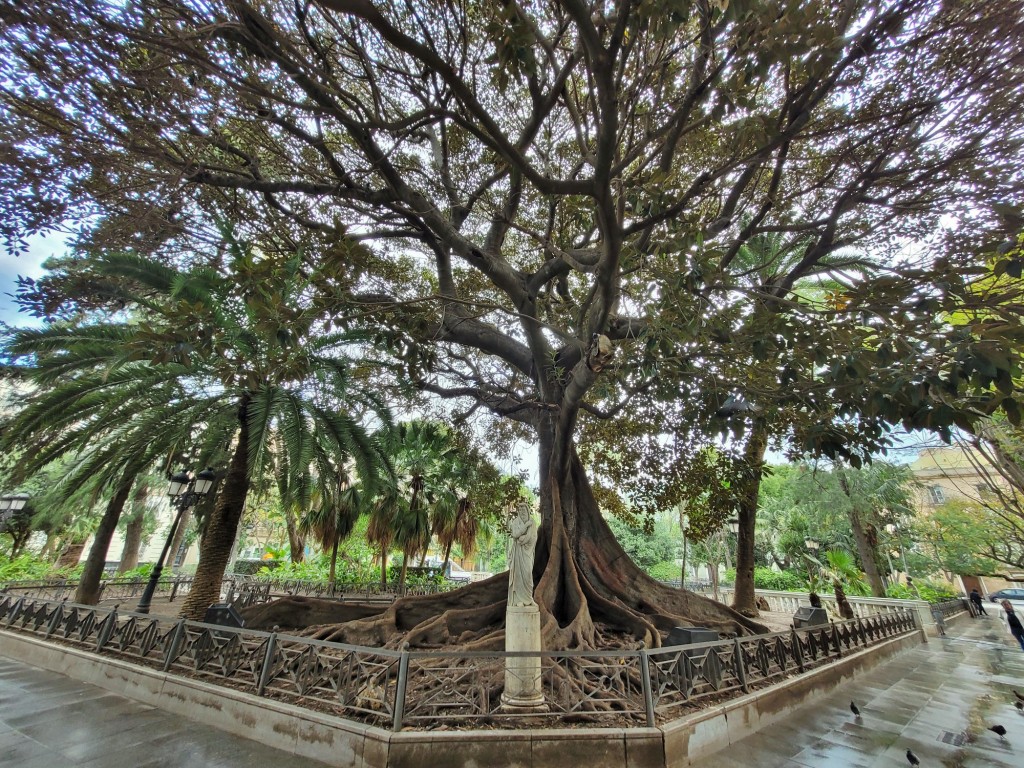 Foto: Plaza de Mina - Cádiz (Andalucía), España