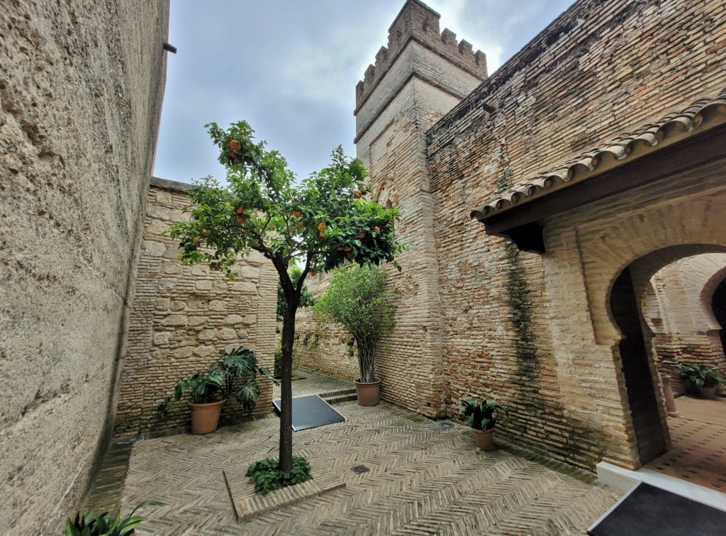 Foto: Alcázar - Jerez de la Frontera (Cádiz), España