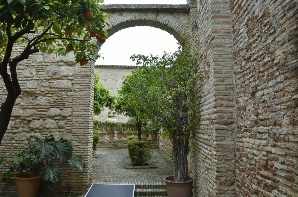 Foto: Alcázar - Jerez de la Frontera (Cádiz), España