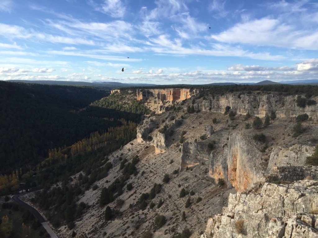 Foto: el vuelo del ave - Cañón Rio Lobos (Soria), España