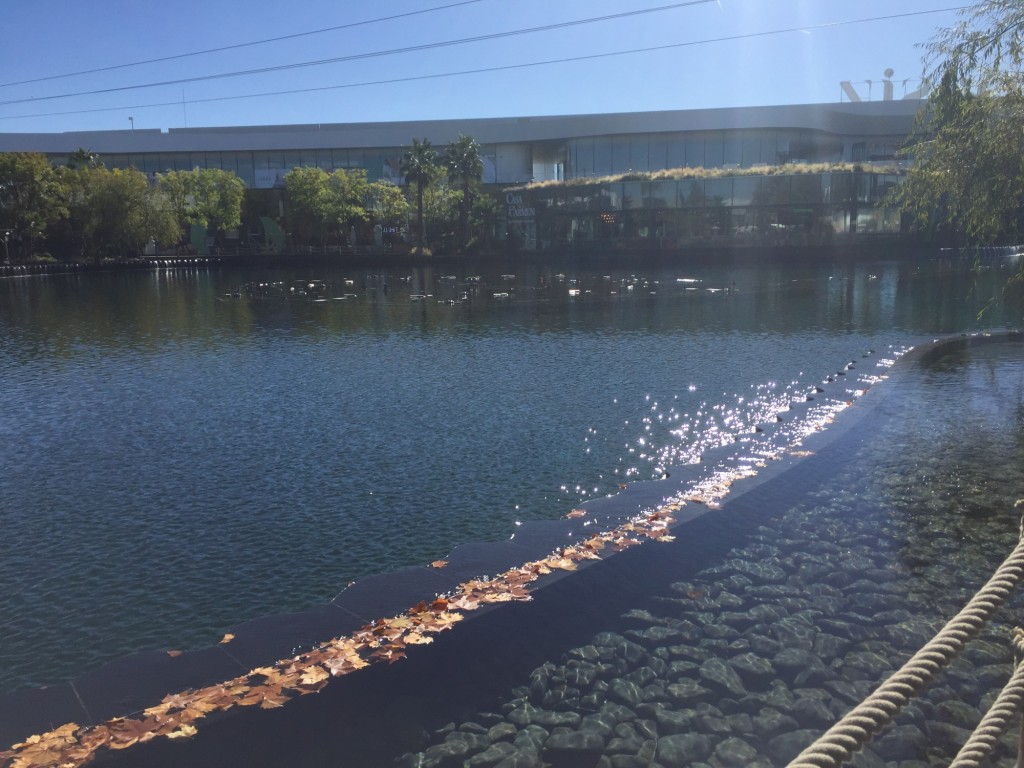 Foto: Oasis - Torrejon de Ardoz (Madrid), España