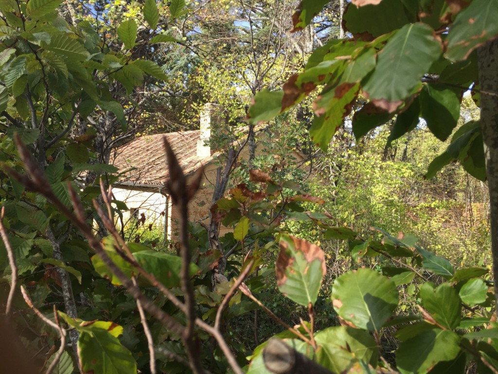 Foto: parque - La Granja (Segovia), España